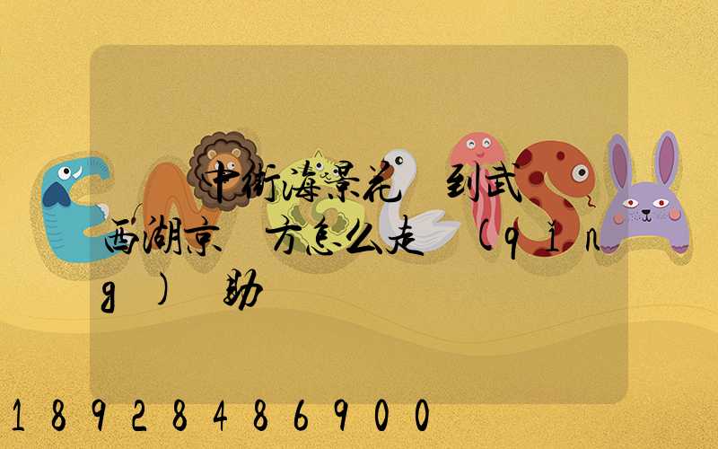 從吳中街海景花園到武漢東西湖京東方怎么走請(qǐng)幫助