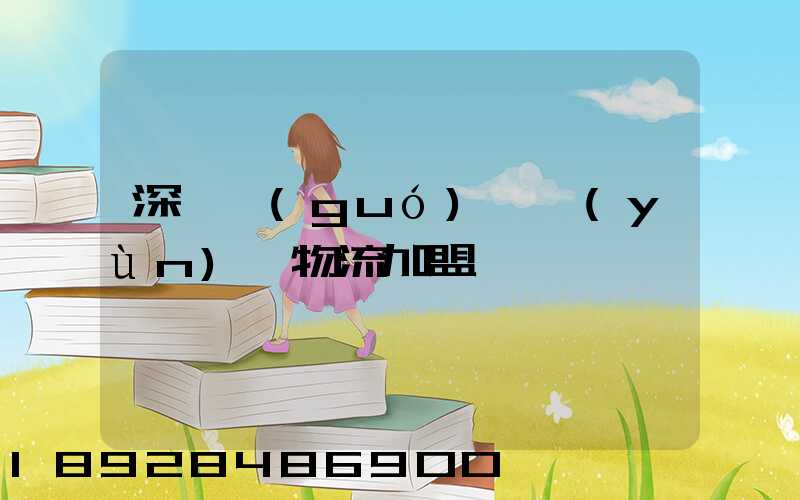 深圳國(guó)際運(yùn)輸物流加盟