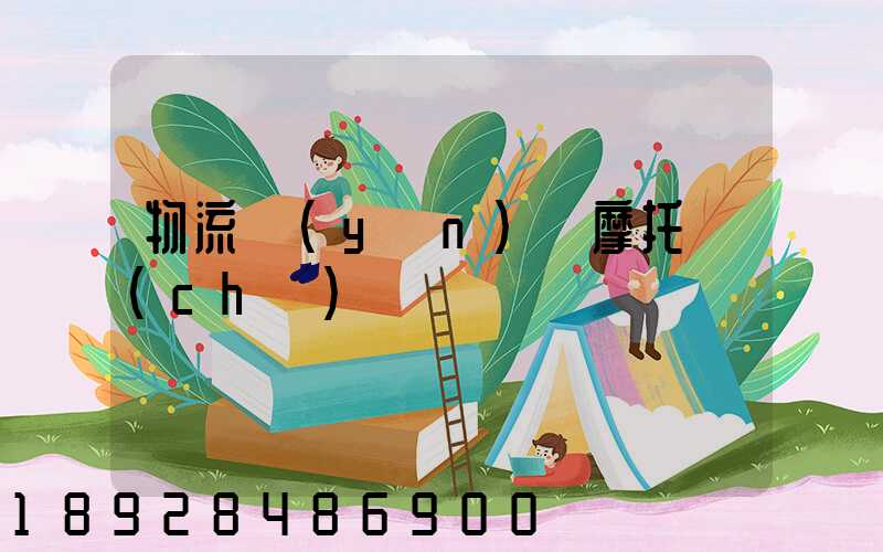 物流運(yùn)輸摩托車(chē)